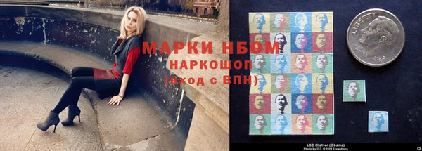 шишки Алзамай