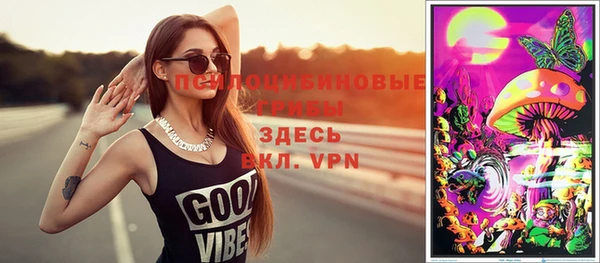 шишки Алзамай