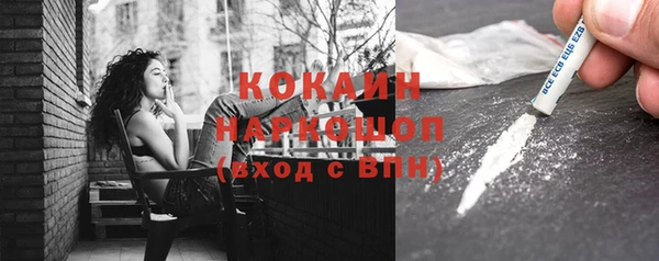 шишки Алзамай